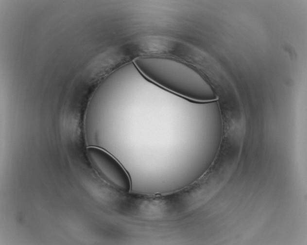 X0000112080599200908111457