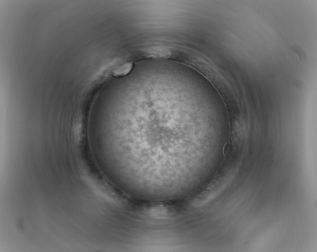 X0000112080600200908111457