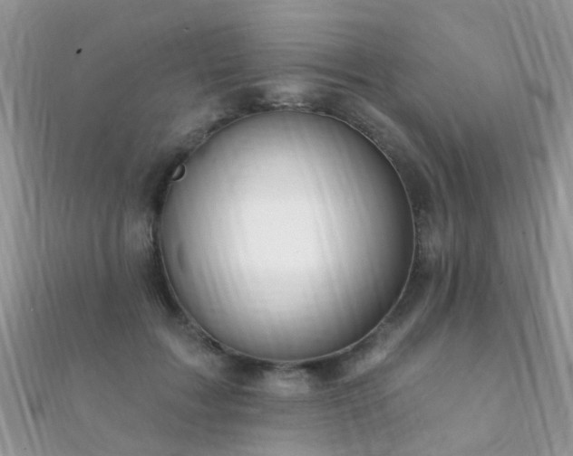 X0000112080603200908111457
