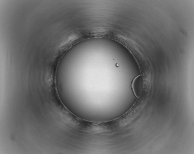 X0000112080608200908111457