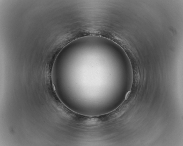 X0000112080609200908111457