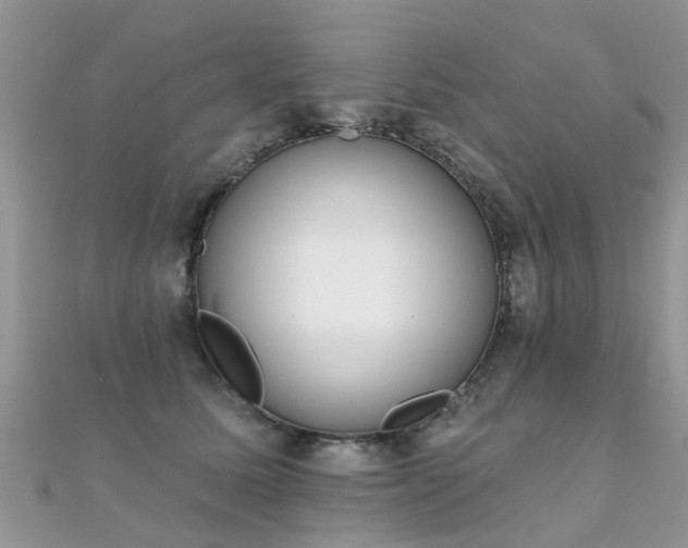 X0000112080611200908111457