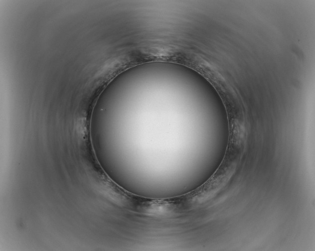 X0000112080612200908111457