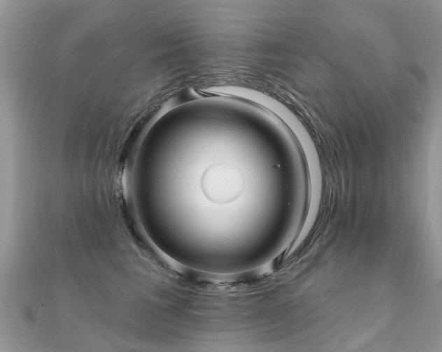 X0000112080613200908111457