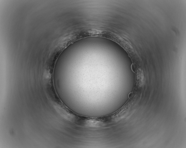 X0000112080614200908111457