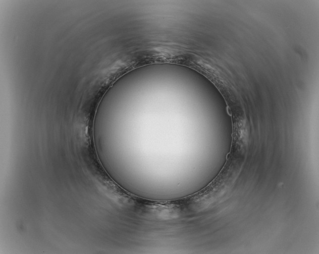X0000112080615200908111457