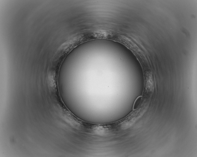 X0000112080616200908111457