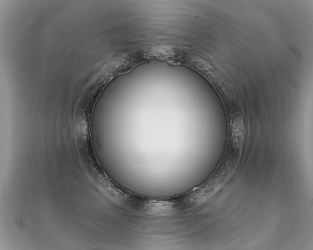 X0000112080617200908111457