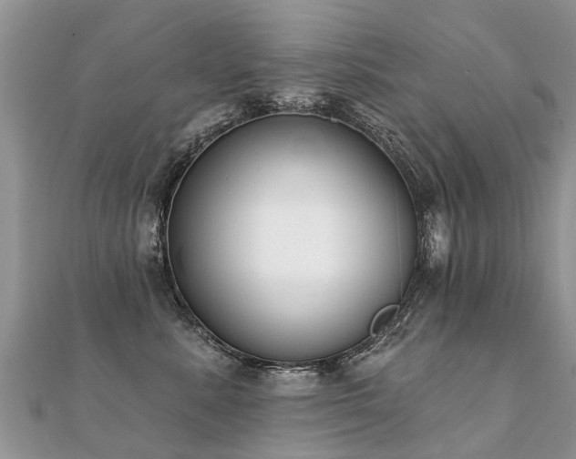 X0000112080619200908111457