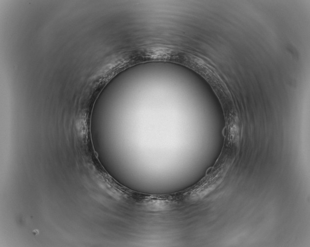 X0000112080620200908111457