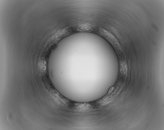 X0000112080621200908111456