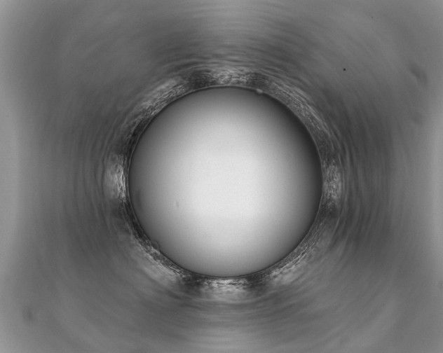 X0000112080622200908111456