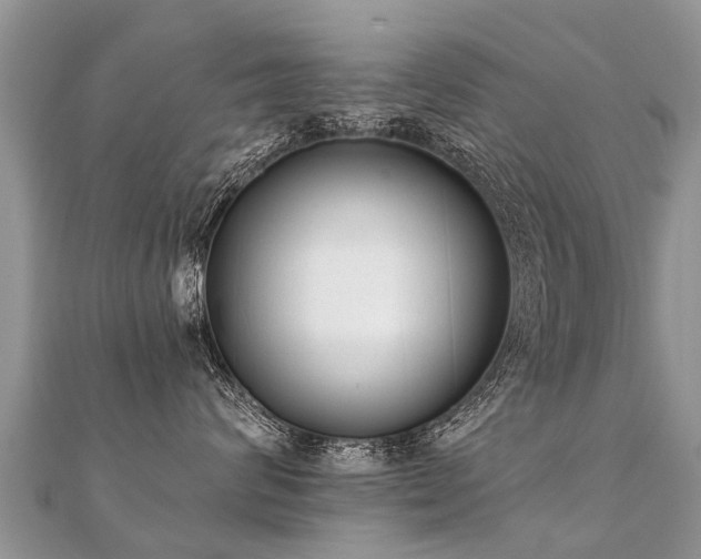 X0000112080624200908111456