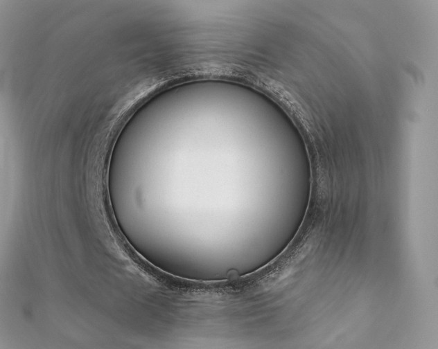 X0000112080625200908111456