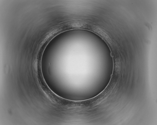 X0000112080626200908111456