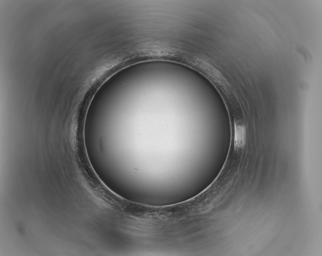 X0000112080627200908111456