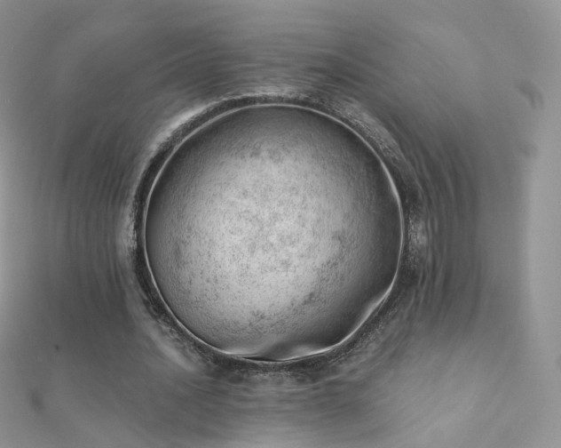 X0000112080628200908111456