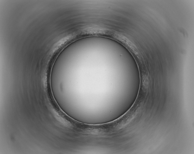 X0000112080629200908111456