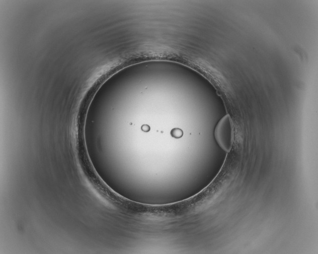 X0000112080630200908111456