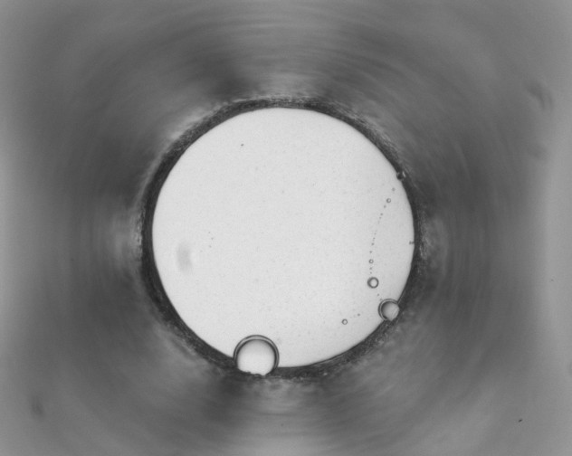 X0000112080632200908111456
