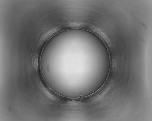 X0000112080633200908111456