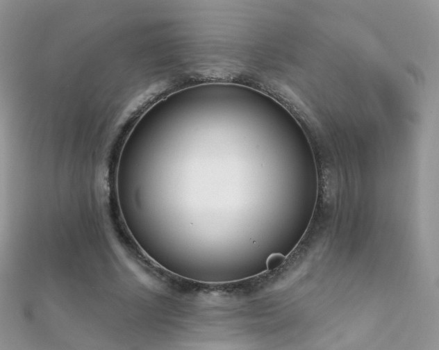 X0000112080634200908111456