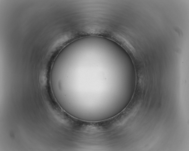 X0000112080635200908111456