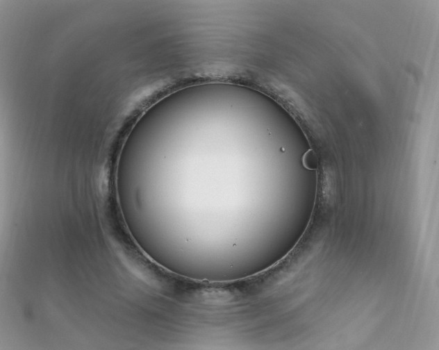 X0000112080636200908111456