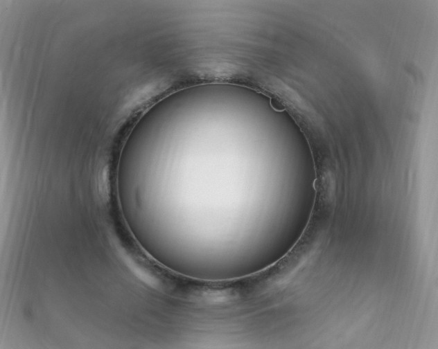 X0000112080638200908111456