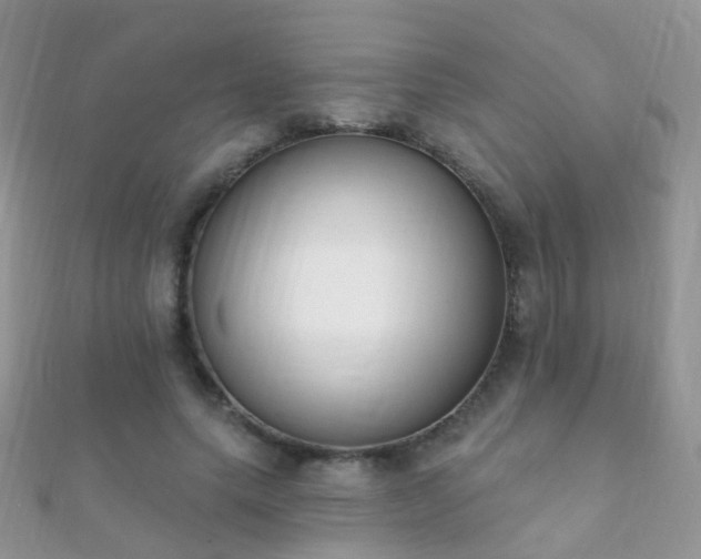 X0000112080639200908111456