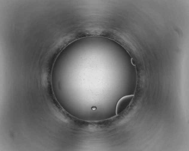 X0000112080641200908111456