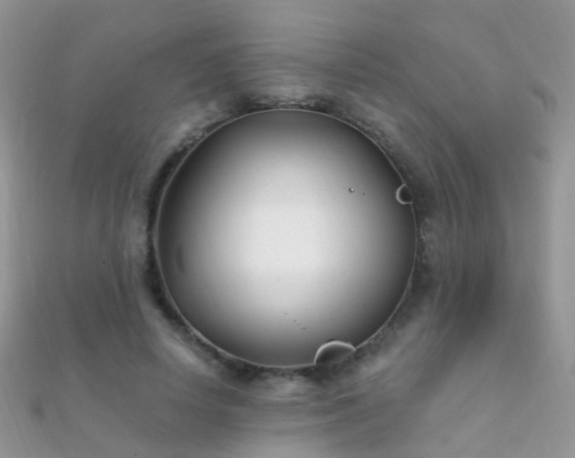 X0000112080642200908111456