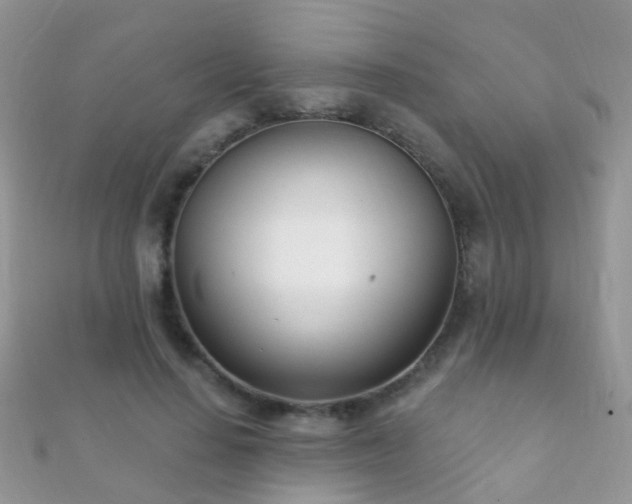 X0000112080644200908111456