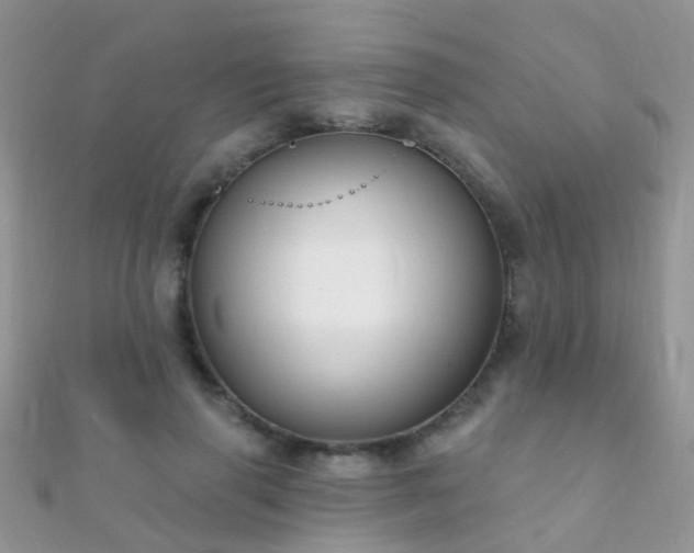 X0000112080645200908111456