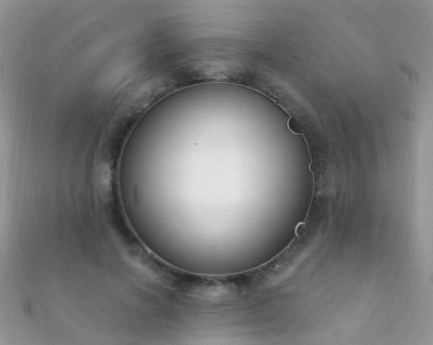 X0000112080646200908111456