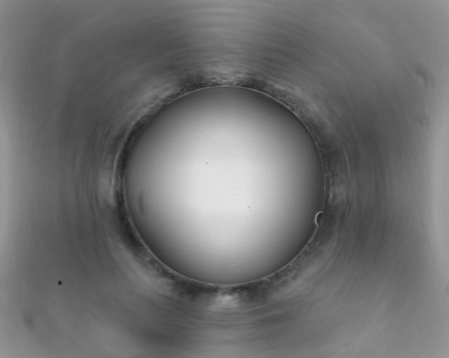 X0000112080647200908111456