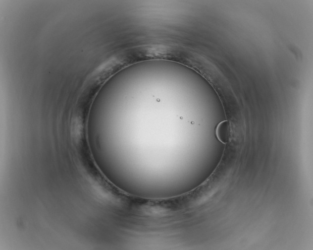 X0000112080648200908111456