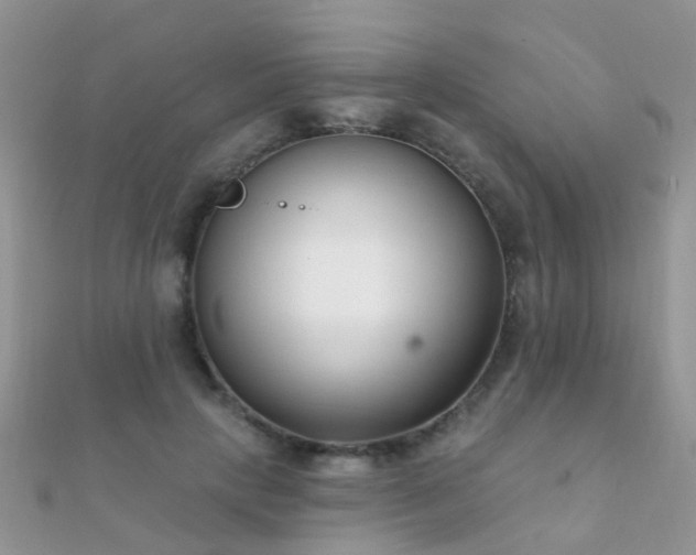 X0000112080649200908111456