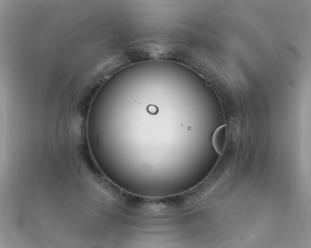 X0000112080650200908111456