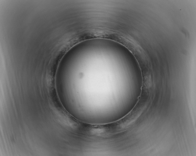 X0000112080653200908111456