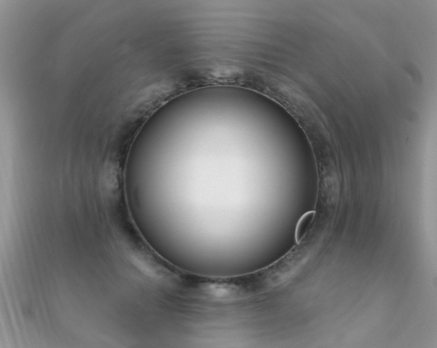 X0000112080654200908111456