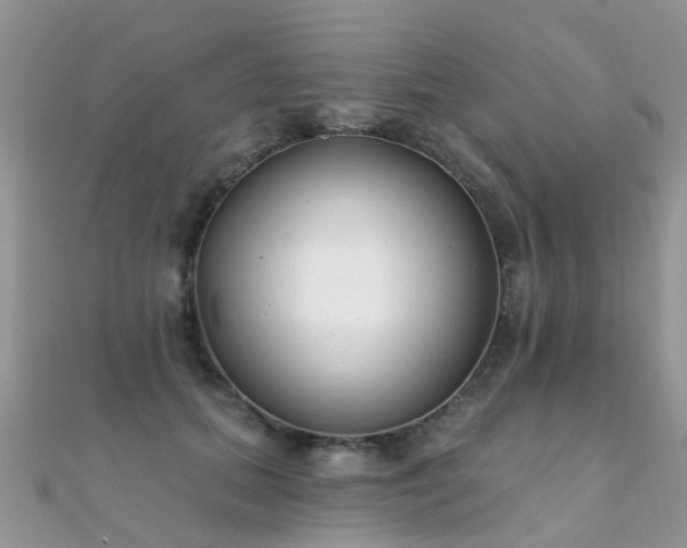 X0000112080655200908111456