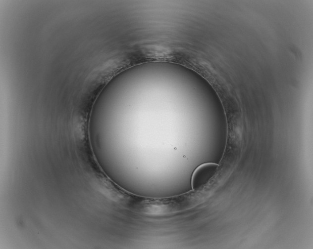 X0000112080658200908111456