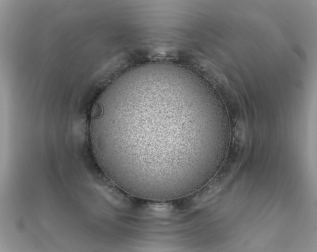 X0000112080659200908111456