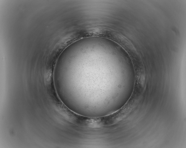 X0000112080660200908111456