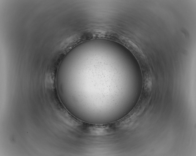 X0000112080661200908111456