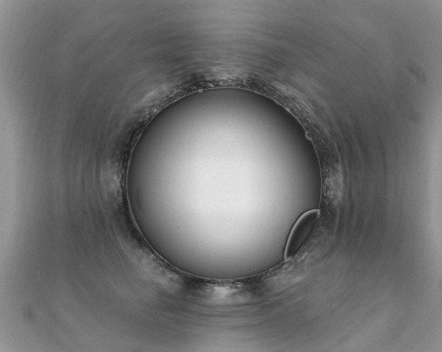 X0000112080662200908111456