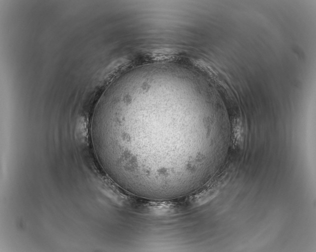 X0000112080667200908111456