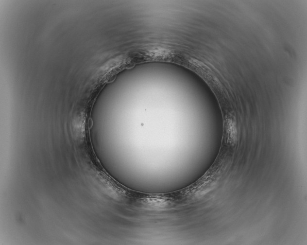 X0000112080668200908111456