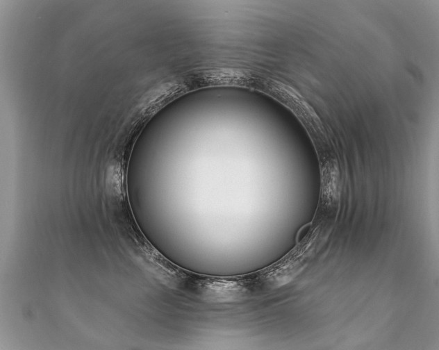 X0000112080669200908111456